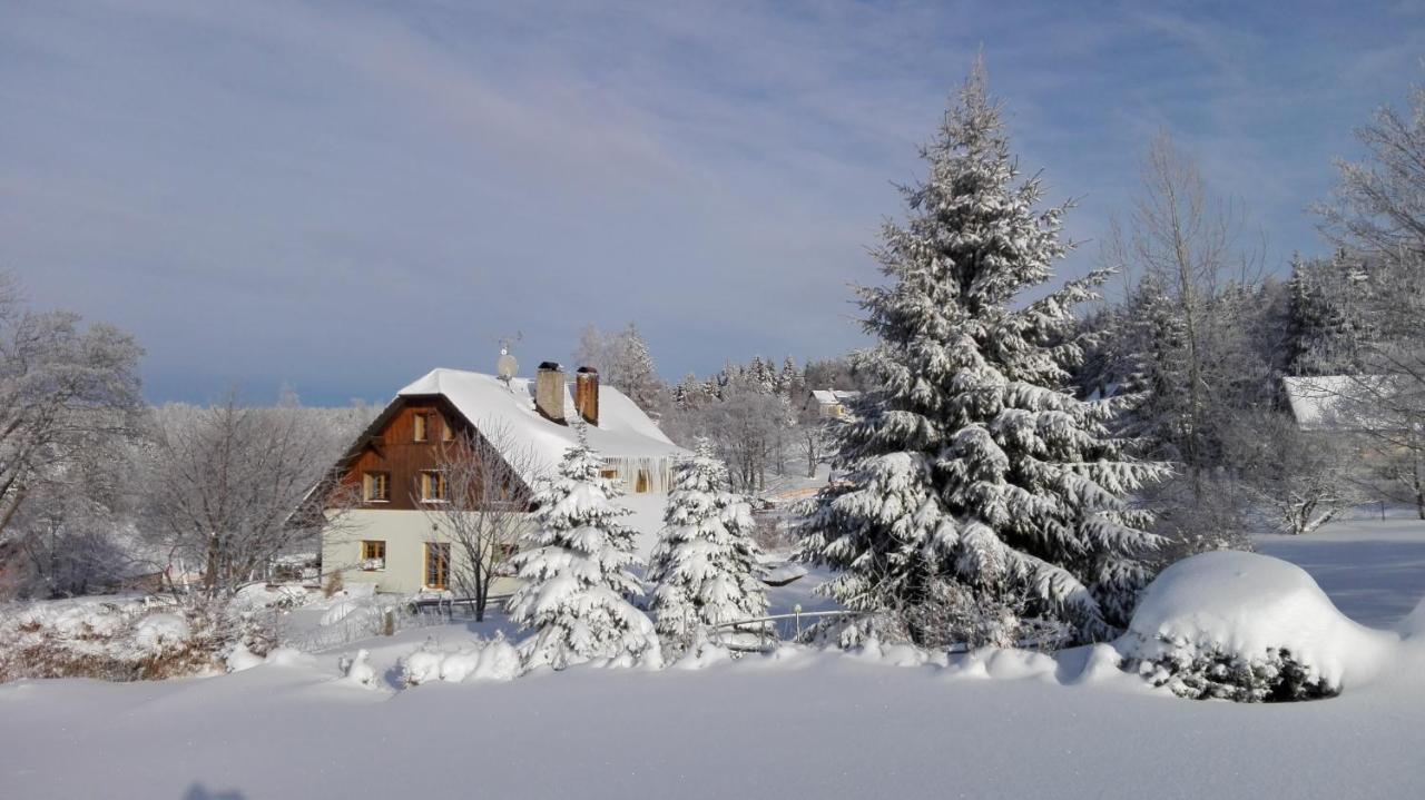 Penzion Sehnoutkovi Bedřichov Exterior foto